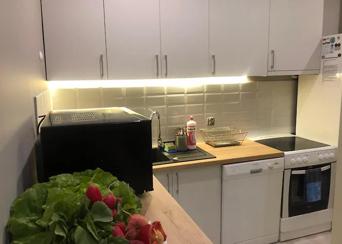 Nice Apartment City Centre Gdansk